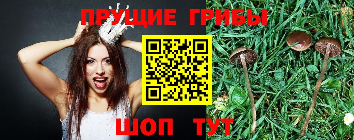 Галлюциногенные грибы ЛСД  Вход с VPN  Ижевск 
